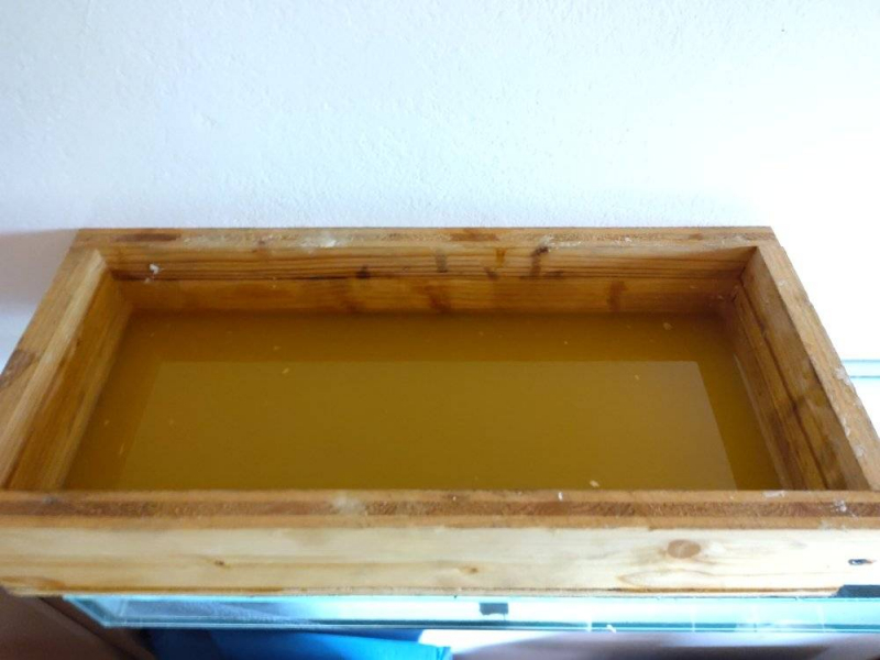 558015708_25178920538361211_493857599293451926_n