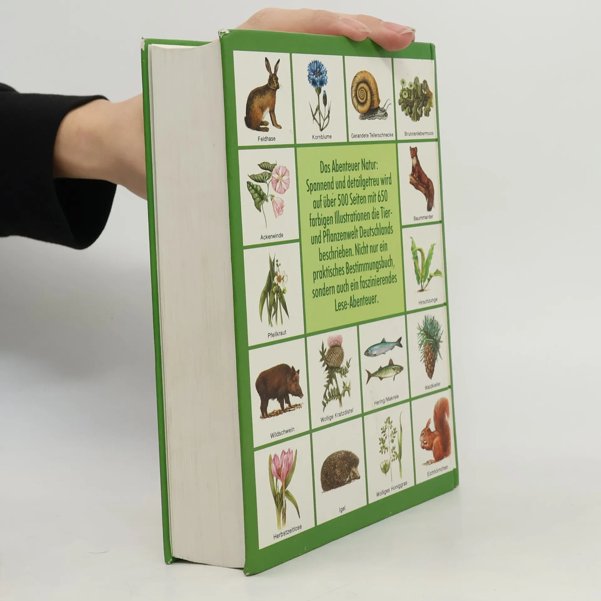 Titelbild Pflanzen und Tiere unserer Heimat